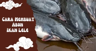 Cara Membuat Abon Ikan Lele yang Gurih, Awet, dan Bisa Jadi Ide Jualan!