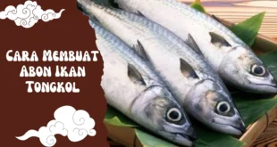 Cara Membuat Abon Ikan Tongkol yang Gurih, Tahan Lama, dan Bikin Ketagihan