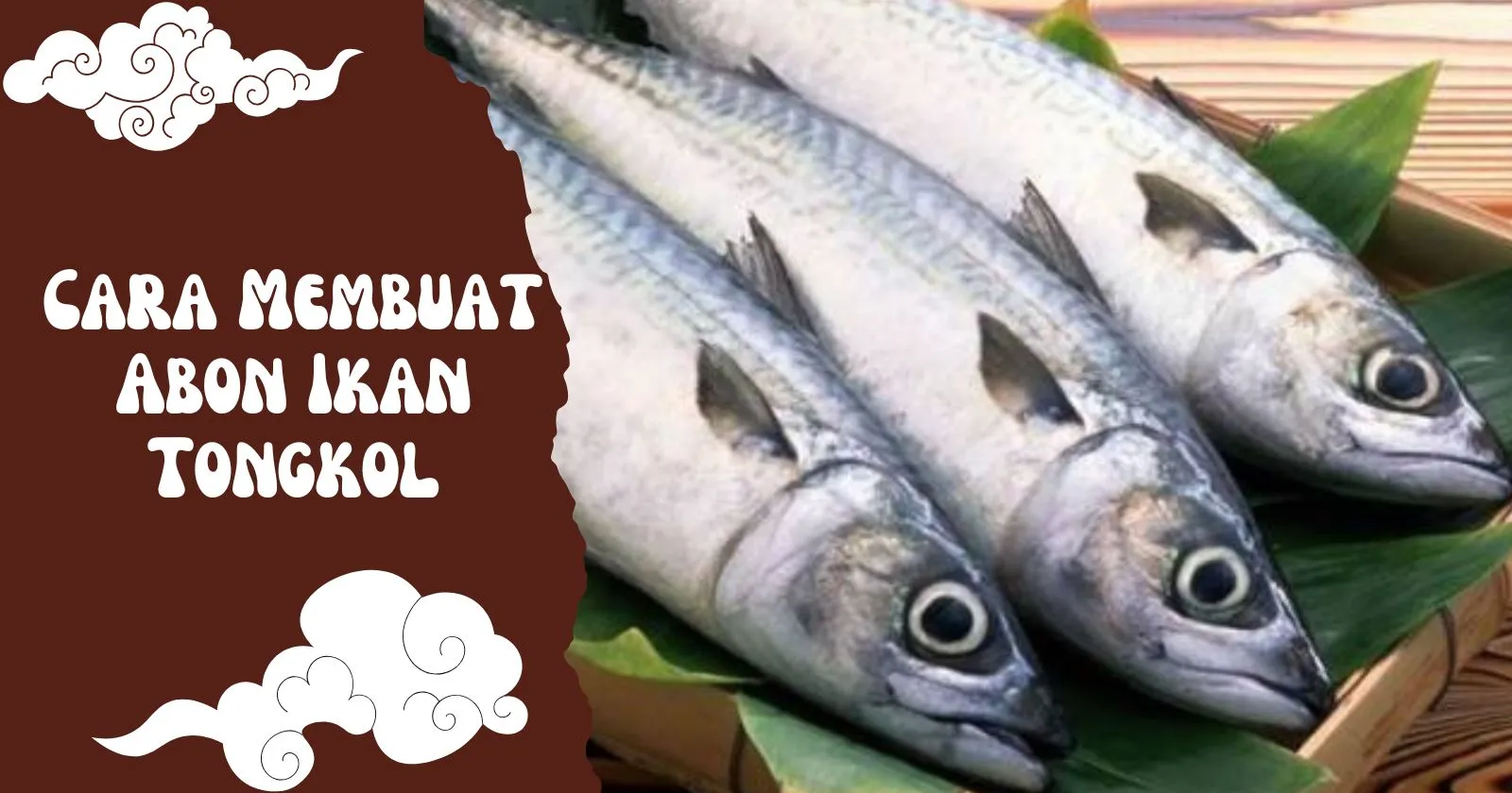 Cara Membuat Abon Ikan Tongkol yang Gurih, Tahan Lama, dan Bikin Ketagihan